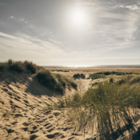 Ainsdale Nature Reserve 